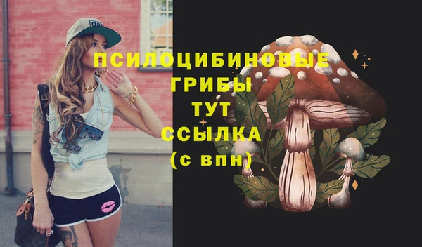 2c-b Алексеевка