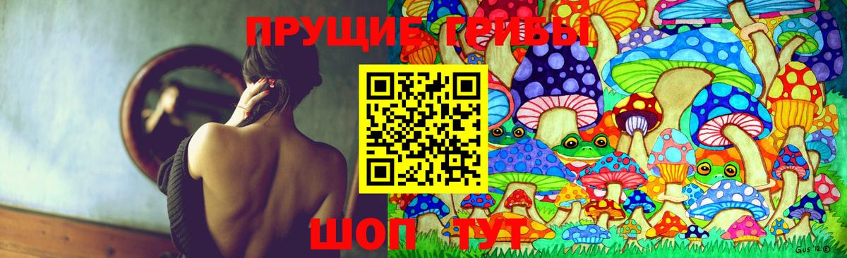 Йошкар-Ола  Псилоцибиновые грибы Cubensis  Вход с VPN  Псилоцибиновые грибы ЛСД 